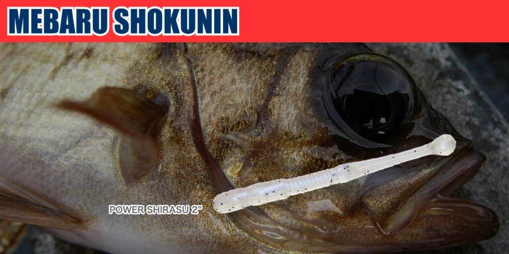 Ecogear Mebaru Shokunin Power Shirasu 2 İnç 292 Pink Glow Silikon Yem