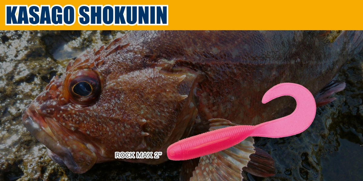 Ecogear Kasago Shokunin Rock Max 2’’ 019 Silikon Yem