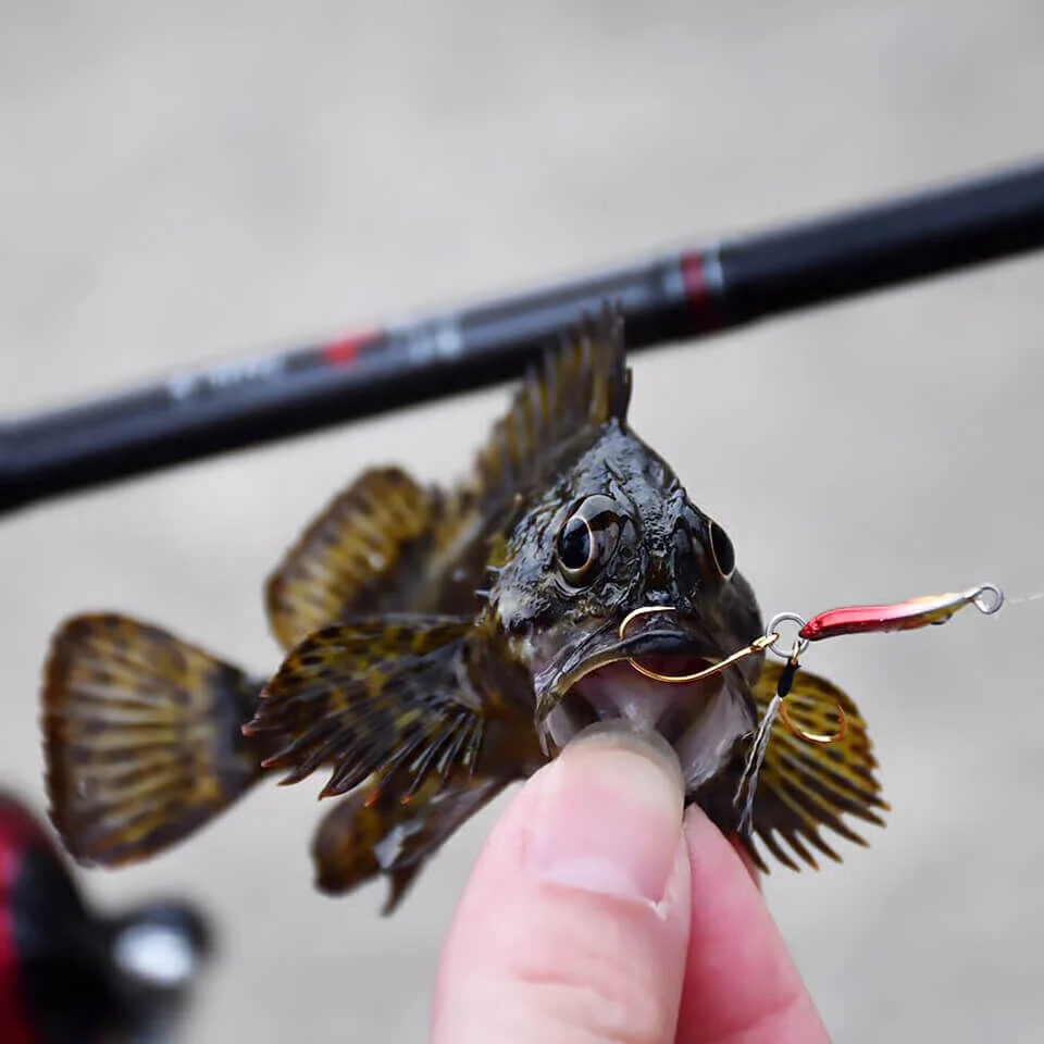Rudie’s Gyoshi Metal Hirari Mikro Jig Keymura Shirasu