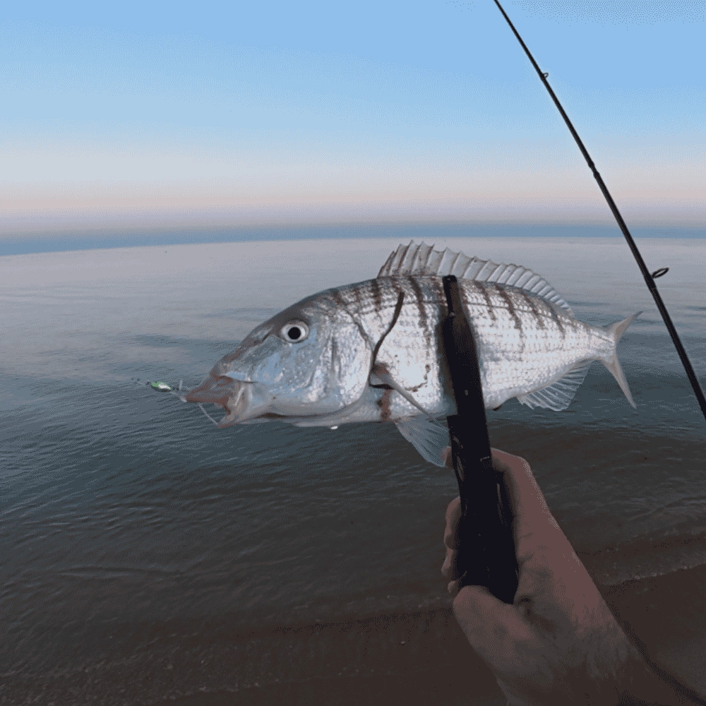 Rudie’s Gyoshi Chiku 10 Gr Jig Yem