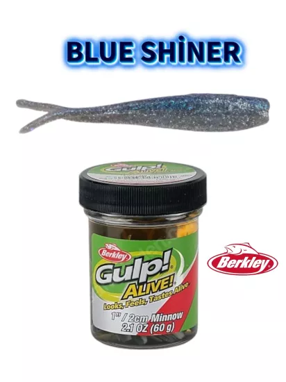 Berkley Gulp! Alive!® Minnow 1’’ Blue Shiner