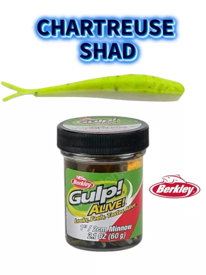 Berkley Gulp! Alive!® Minnow 1’’ Chartreuse Shad