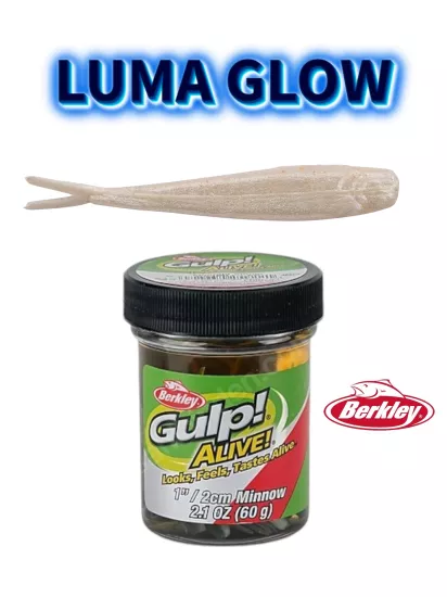 Berkley Gulp! Alive!® Minnow 1’’ Luma Glow