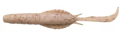 Ecogear Aqua Swim Shrimp 3 İnç J05 Silikon