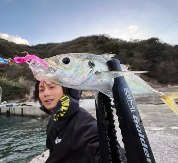 Rudie’s Gyoshi Chiku Blue Pink